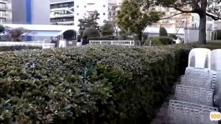[换脸AI区] Al—刘思瑶 与黑人大肉棒